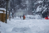 toronto-snow.jpg