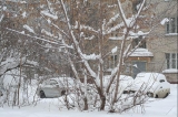 nskwinter 004.jpg